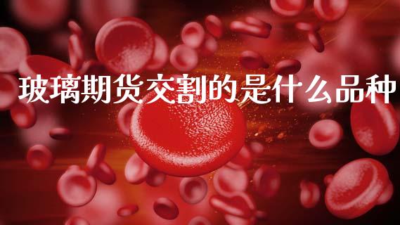 玻璃期货交割的是什么品种_https://www.lcjysmgs.com_恒生指数直播_第1张
