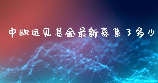 中欧远见基金最新募集了多少_https://www.lcjysmgs.com_德指行情直播_第1张