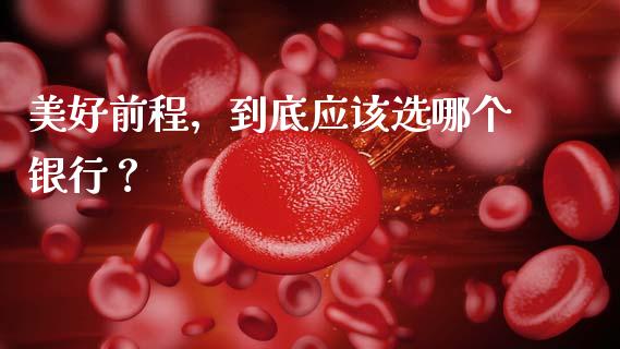 美好前程，到底应该选哪个银行？_https://www.lcjysmgs.com_恒生指数直播_第1张