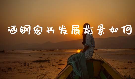 洒钢宏兴发展前景如何_https://www.lcjysmgs.com_恒生指数直播_第1张
