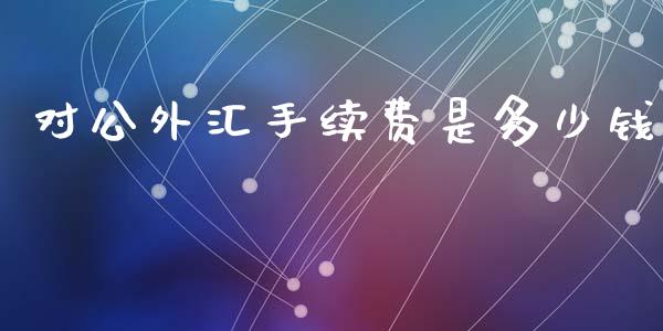 对公外汇手续费是多少钱_https://www.lcjysmgs.com_德指行情直播_第1张