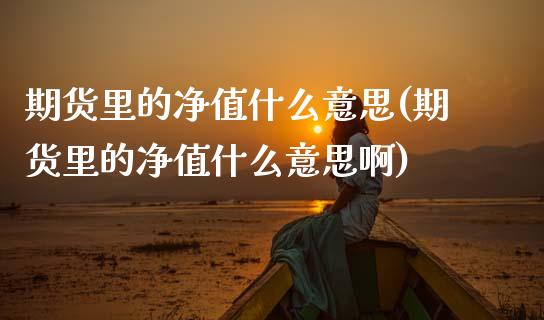 期货里的净值什么意思(期货里的净值什么意思啊)_https://www.lcjysmgs.com_恒生指数直播_第1张