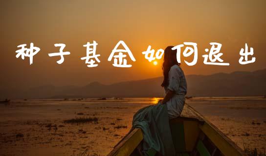 种子基金如何退出_https://www.lcjysmgs.com_恒指直播平台_第1张