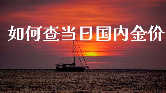 如何查当日国内金价_https://www.lcjysmgs.com_黄金期货直播喊单_第1张