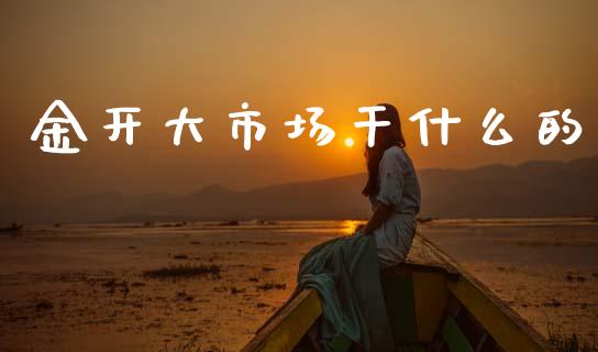 金开大市场干什么的_https://www.lcjysmgs.com_德指行情直播_第1张