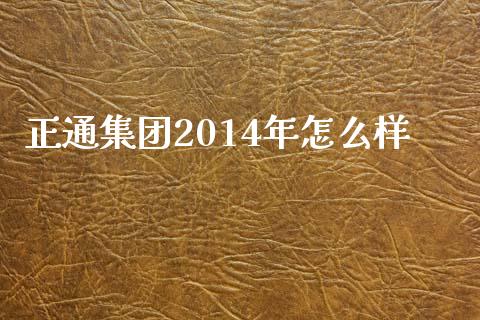 正通集团2014年怎么样_https://www.lcjysmgs.com_恒生指数直播_第1张