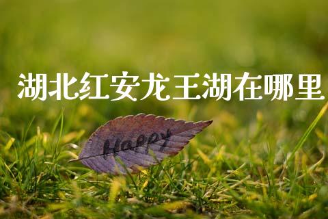 湖北红安龙王湖在哪里_https://www.lcjysmgs.com_恒生指数直播_第1张