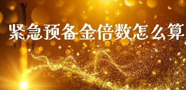 紧急预备金倍数怎么算_https://www.lcjysmgs.com_恒生指数直播_第1张