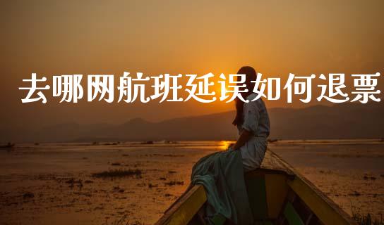 去哪网航班延误如何退票_https://www.lcjysmgs.com_德指行情直播_第1张