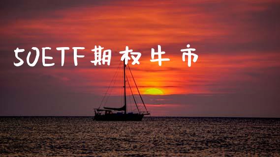 50ETF期权牛市_https://www.lcjysmgs.com_德指行情直播_第1张