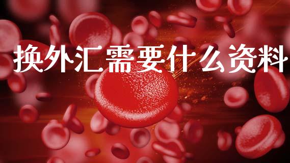 换外汇需要什么资料_https://www.lcjysmgs.com_恒生指数直播_第1张