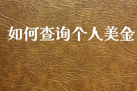 如何查询个人美金_https://www.lcjysmgs.com_德指行情直播_第1张