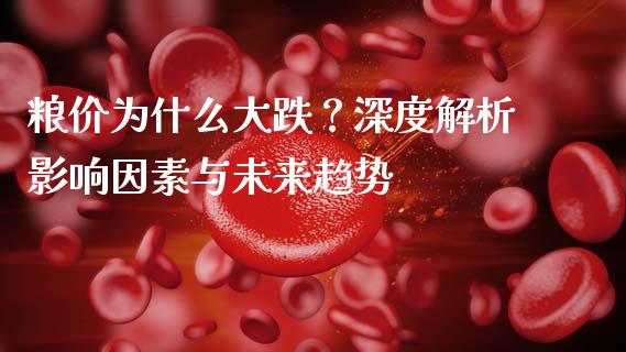 粮价为什么大跌？深度解析影响因素与未来趋势_https://www.lcjysmgs.com_恒生指数直播_第1张