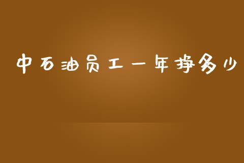 中石油员工一年挣多少_https://www.lcjysmgs.com_恒生指数直播_第1张