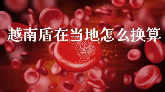 越南盾在当地怎么换算_https://www.lcjysmgs.com_恒指直播平台_第1张