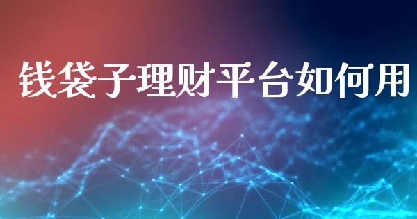 钱袋子理财平台如何用_https://www.lcjysmgs.com_恒生指数直播_第1张