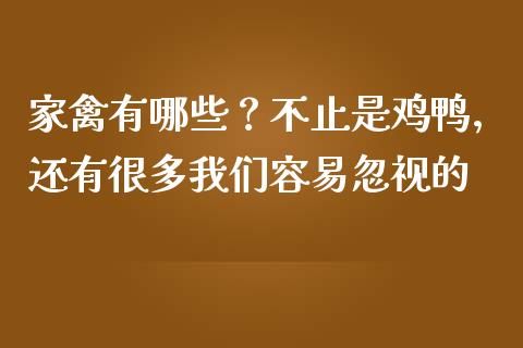 家禽有哪些？不止是鸡鸭，还有很多我们容易忽视的_https://www.lcjysmgs.com_恒指直播平台_第1张