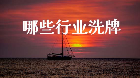 哪些行业洗牌_https://www.lcjysmgs.com_黄金期货直播喊单_第1张