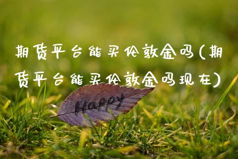 期货平台能买伦敦金吗(期货平台能买伦敦金吗现在)_https://www.lcjysmgs.com_德指行情直播_第1张