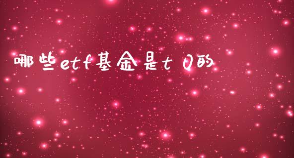 哪些etf基金是t 0的_https://www.lcjysmgs.com_德指行情直播_第1张