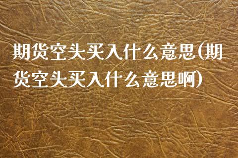 期货空头买入什么意思(期货空头买入什么意思啊)_https://www.lcjysmgs.com_恒指直播平台_第1张
