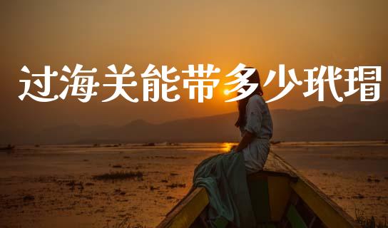 过海关能带多少玳瑁_https://www.lcjysmgs.com_恒生指数直播_第1张