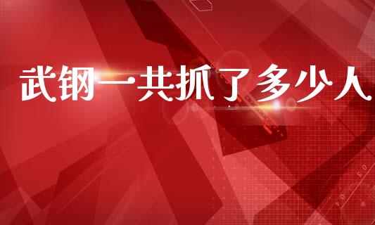 武钢一共抓了多少人_https://www.lcjysmgs.com_恒指直播平台_第1张