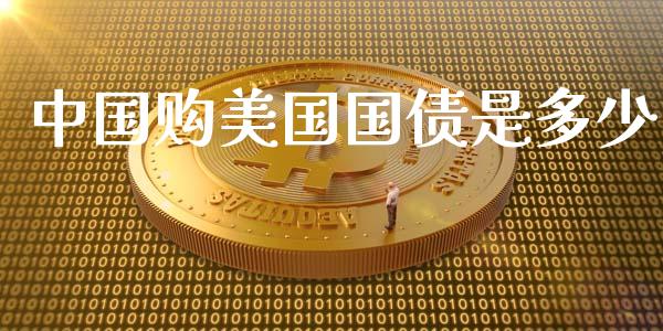 中国购美国国债是多少_https://www.lcjysmgs.com_黄金期货直播喊单_第1张