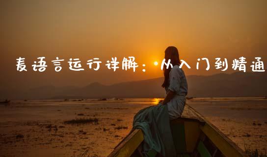 麦语言运行详解：从入门到精通_https://www.lcjysmgs.com_恒指直播平台_第1张