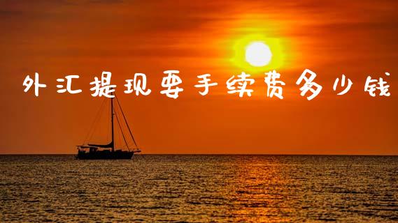 外汇提现要手续费多少钱_https://www.lcjysmgs.com_德指行情直播_第1张