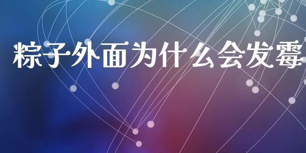 粽子外面为什么会发霉_https://www.lcjysmgs.com_恒生指数直播_第1张