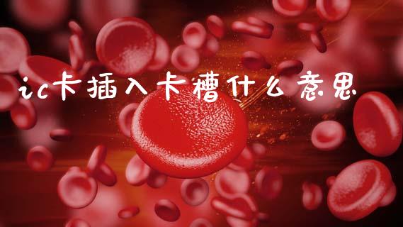 ic卡插入卡槽什么意思_https://www.lcjysmgs.com_德指行情直播_第1张