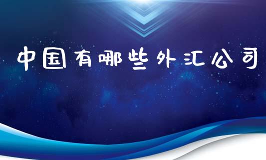 中国有哪些外汇公司_https://www.lcjysmgs.com_恒生指数直播_第1张
