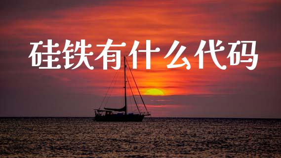 硅铁有什么代码_https://www.lcjysmgs.com_德指行情直播_第1张