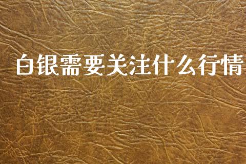 白银需要关注什么行情_https://www.lcjysmgs.com_黄金期货直播喊单_第1张