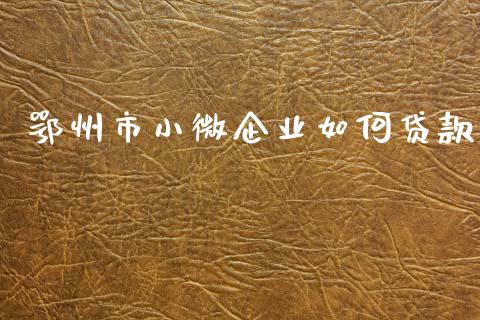 鄂州市小微企业如何贷款_https://www.lcjysmgs.com_黄金期货直播喊单_第1张