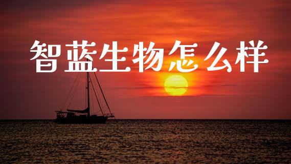 智蓝生物怎么样_https://www.lcjysmgs.com_恒指直播平台_第1张