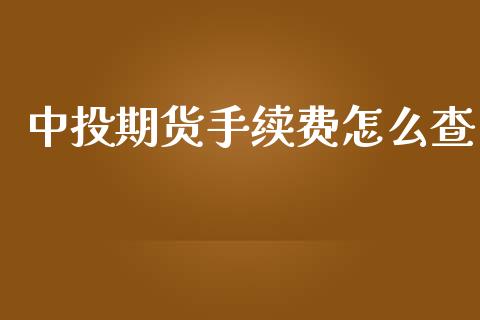 中投期货手续费怎么查_https://www.lcjysmgs.com_黄金期货直播喊单_第1张