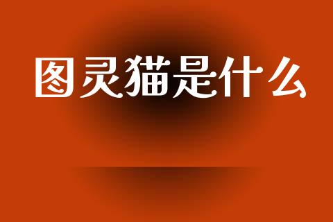 图灵猫是什么_https://www.lcjysmgs.com_德指行情直播_第1张