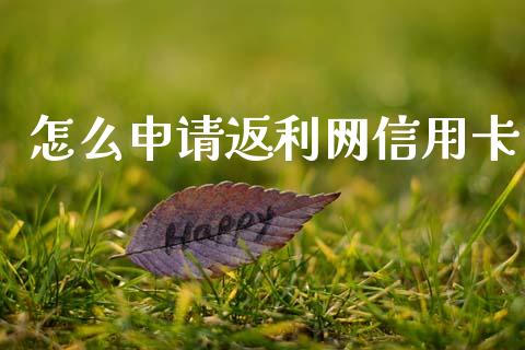 怎么申请返利网信用卡_https://www.lcjysmgs.com_德指行情直播_第1张