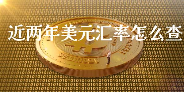 近两年美元汇率怎么查_https://www.lcjysmgs.com_恒生指数直播_第1张