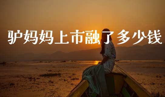 驴妈妈上市融了多少钱_https://www.lcjysmgs.com_恒生指数直播_第1张