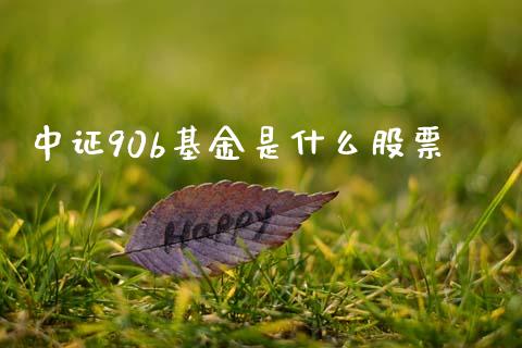 中证90b基金是什么股票_https://www.lcjysmgs.com_恒生指数直播_第1张