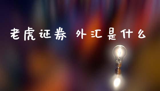 老虎证券 外汇是什么_https://www.lcjysmgs.com_恒指直播平台_第1张