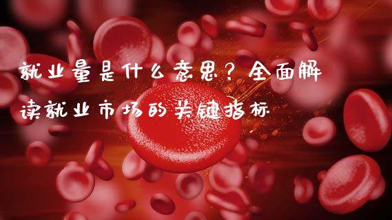 就业量是什么意思？全面解读就业市场的关键指标_https://www.lcjysmgs.com_德指行情直播_第1张