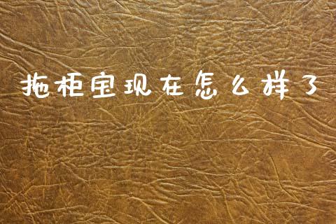 拖柜宝现在怎么样了_https://www.lcjysmgs.com_恒生指数直播_第1张