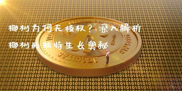 椰树为何无枝杈？深入解析椰树的独特生长奥秘_https://www.lcjysmgs.com_德指行情直播_第1张