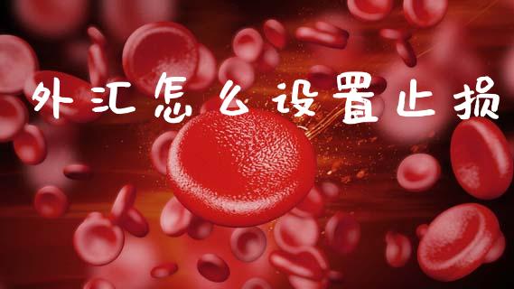 外汇怎么设置止损_https://www.lcjysmgs.com_黄金期货直播喊单_第1张