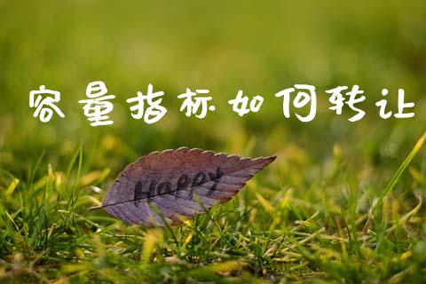 容量指标如何转让_https://www.lcjysmgs.com_德指行情直播_第1张