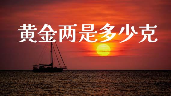 黄金两是多少克_https://www.lcjysmgs.com_德指行情直播_第1张